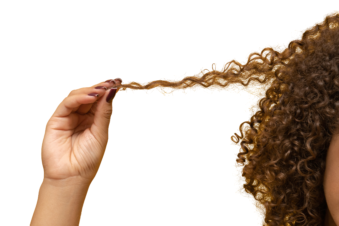 Coily Hair